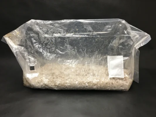 buy magic mushroom grow kit | mushroom grow kits for sale uk  | mushroom grow kits for sale | buy mushroom growing kit | buy mushroom grow kit over £250