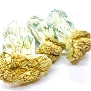 Buy Melmac Penis Envy