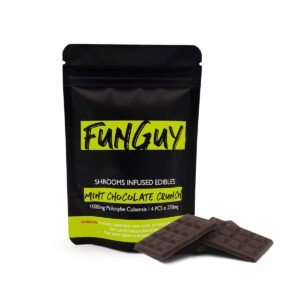 FunGuy Mint Chocolate Crunch Bar | Buy FunGuy Mint Chocolate Crunch Bar Online