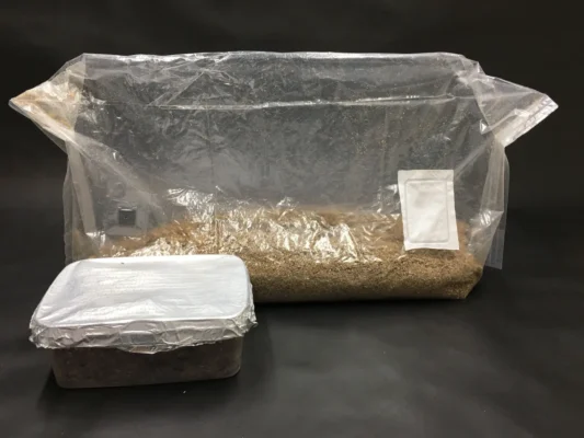 magic mushroom grow kits for sale UK | mushroom growing kits for sale | buy magic mushroom grow kit | 99% pure mushroom grow kits for sale uk