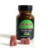 Shafaa Evolve Magic Mushroom Microdosing Gummy Bears - Psychedelic Retail Outlet